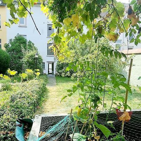 Schoene, Gemuetliche Wohnung, Voll Ausgestattet Wuppertal Eksteriør billede